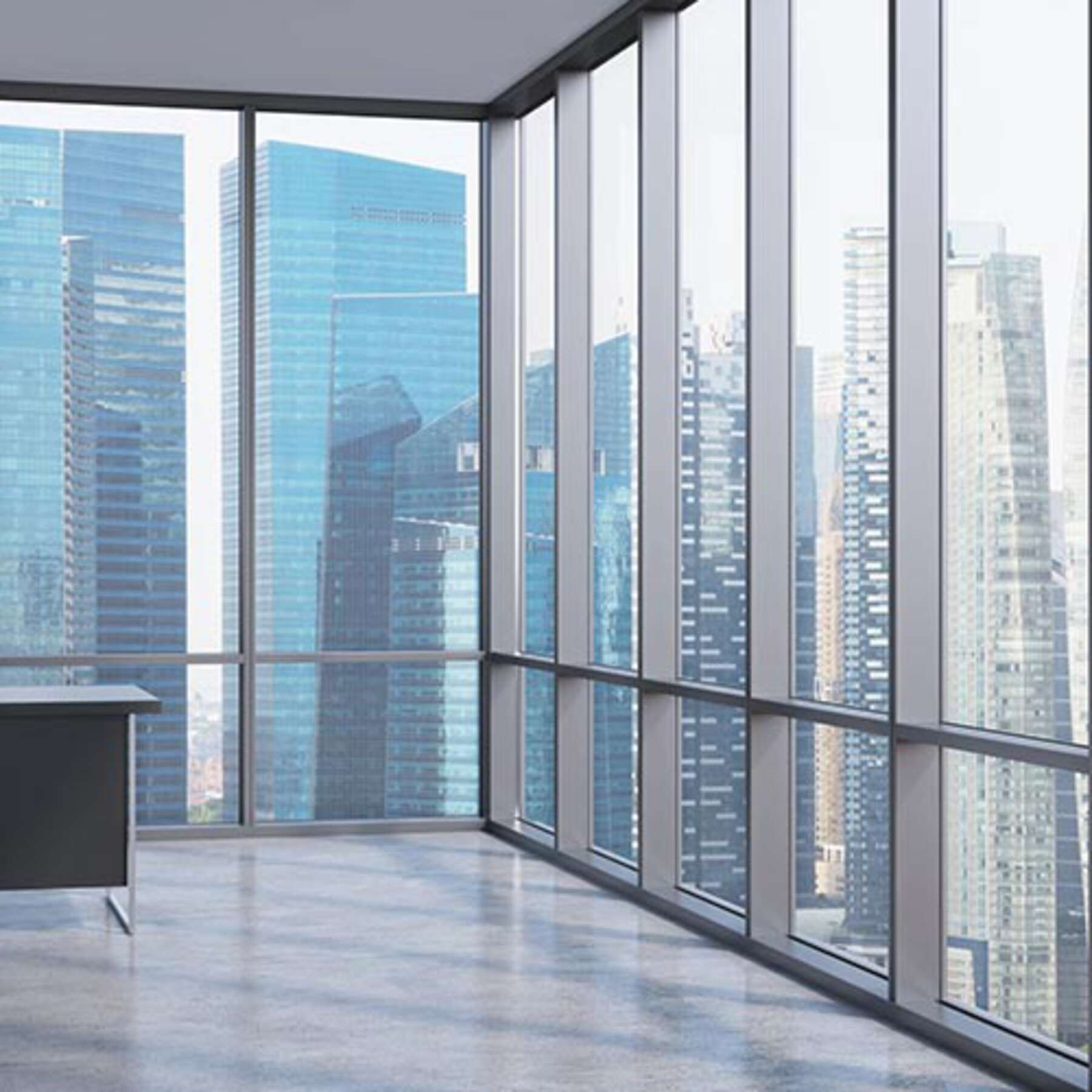 Descripción de la imagen